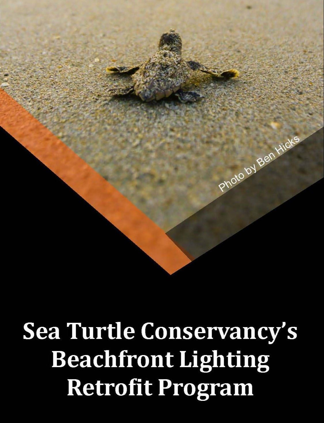 sea turtle lighting retrofit graphic for social media