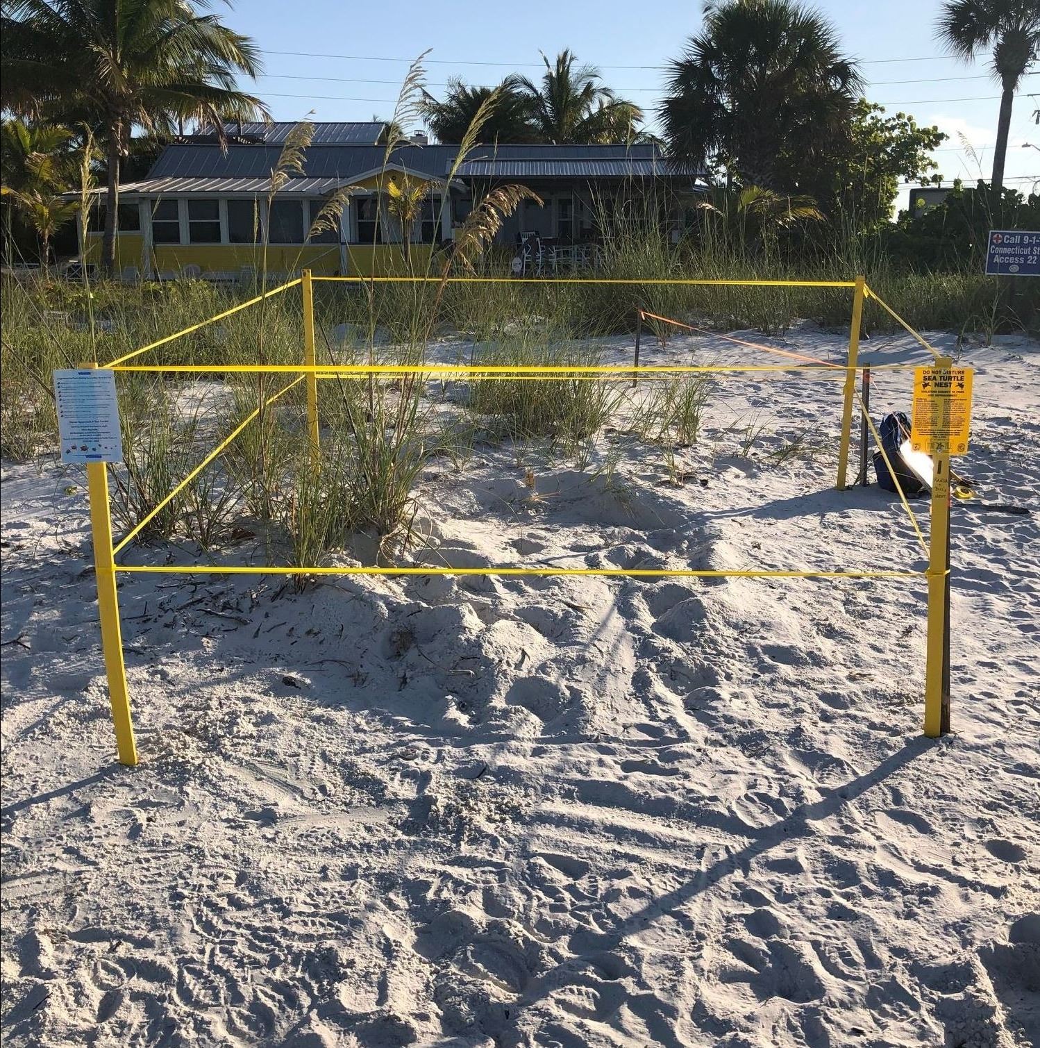 first nest may 7 2021