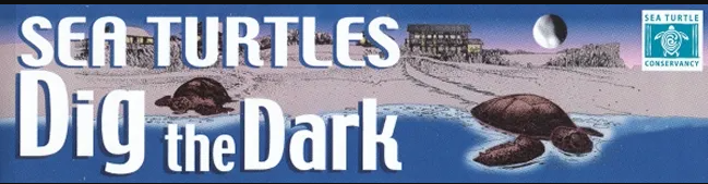 sea turtles dig the dark