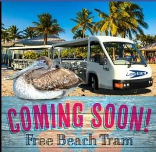 beach tram