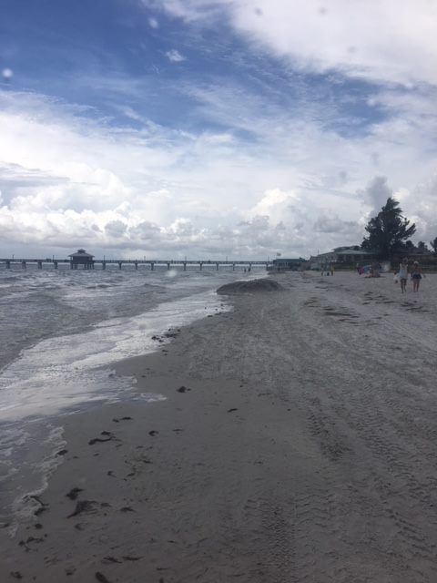 38071511_2147664172176015_2178969688174755840_n