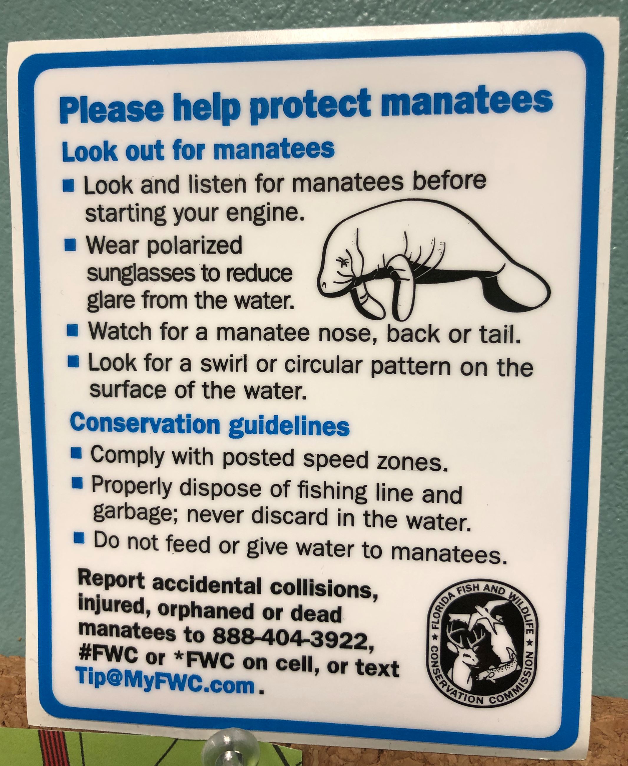 manatee speed zone facts